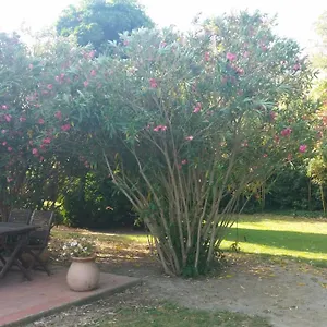 Couette-café D'icard, Les Saintes-Maries-de-la-Mer